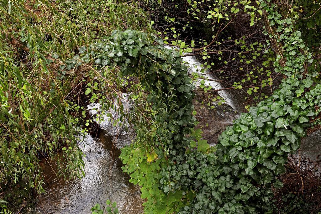 Moulin De Cornevis Bed And Breakfast Privas Δωμάτιο φωτογραφία