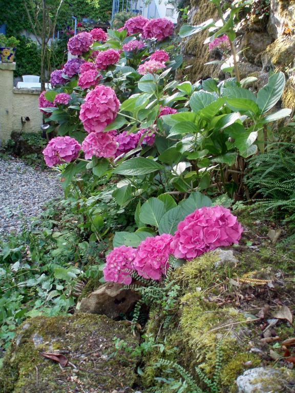 Moulin De Cornevis Bed And Breakfast Privas Εξωτερικό φωτογραφία
